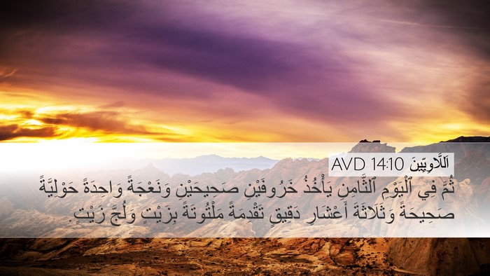 اَللَّاوِيِّينَ 14:10 AVD Bible Verse Image