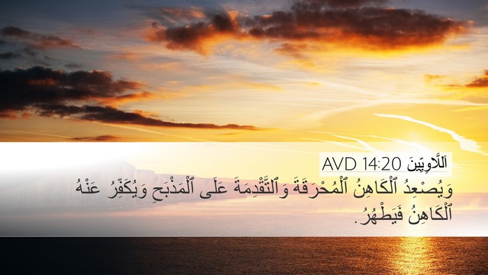 اَللَّاوِيِّينَ 14:20 AVD Bible Verse Image