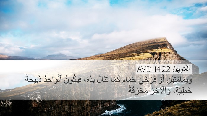 اَللَّاوِيِّينَ 14:22 AVD Bible Verse Image