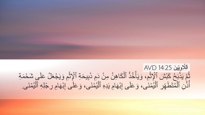 اَللَّاوِيِّينَ 14:25 AVD Desktop Wallpaper - ثُمَّ يَذْبَحُ كَبْشَ - Desktop Bible Verse Wallpaper