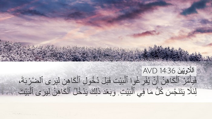 اَللَّاوِيِّينَ 14:36 AVD Desktop Wallpaper - فَيَأْمُرُ ٱلْكَاهِنُ - Desktop Bible Verse Wallpaper