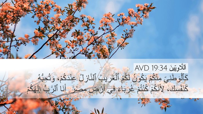 اَللَّاوِيِّينَ 19:34 AVD Bible Verse Image