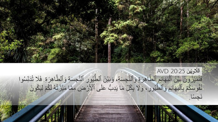 اَللَّاوِيِّينَ 20:25 AVD Bible Verse Image