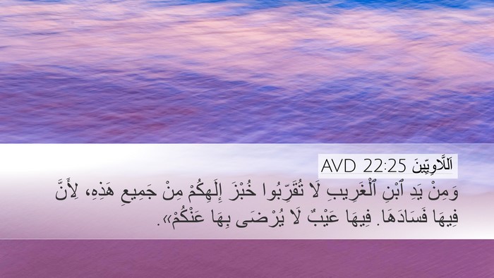 اَللَّاوِيِّينَ 22:25 AVD Bible Verse Image