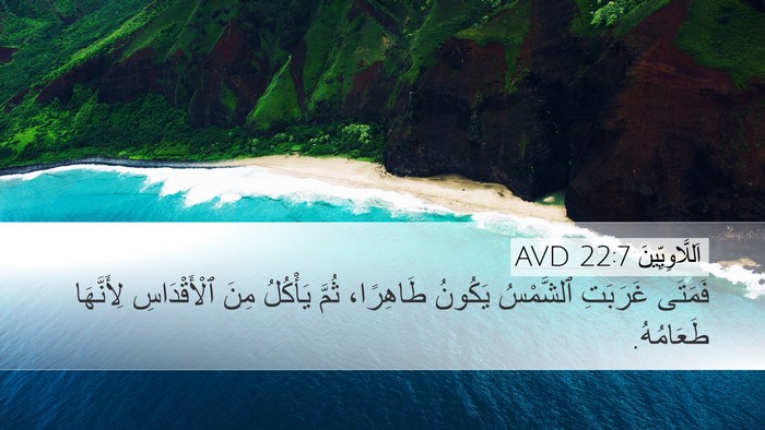 اَللَّاوِيِّينَ 22:7 AVD Desktop Wallpaper - فَمَتَى غَرَبَتِ - Desktop Bible Verse Wallpaper