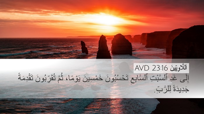 اَللَّاوِيِّينَ 23:16 AVD Desktop Wallpaper - إِلَى غَدِ ٱلسَّبْتِ - Desktop Bible Verse Wallpaper