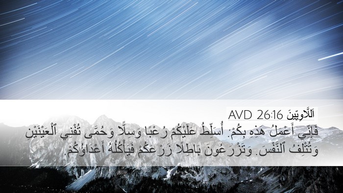 اَللَّاوِيِّينَ 26:16 AVD Bible Verse Image