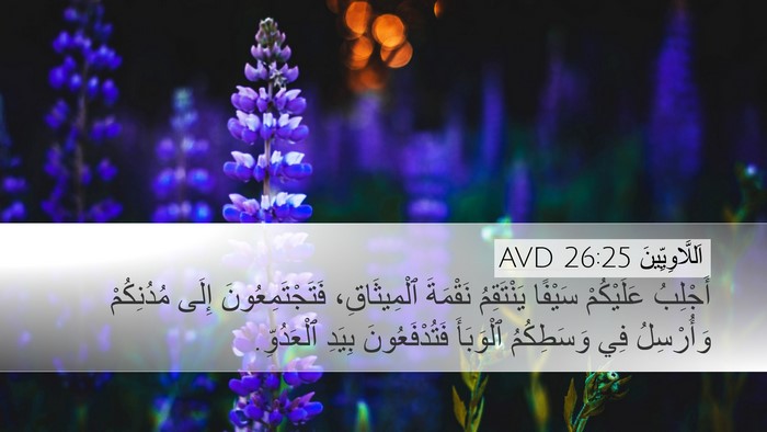 اَللَّاوِيِّينَ 26:25 AVD Bible Verse Image