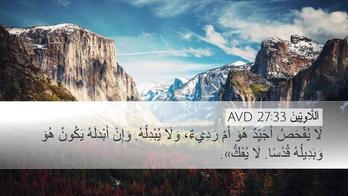 اَللَّاوِيِّينَ 27:33 AVD Desktop Wallpaper - لَا يُفْحَصُ أَجَيِّدٌ - Desktop Bible Verse Wallpaper