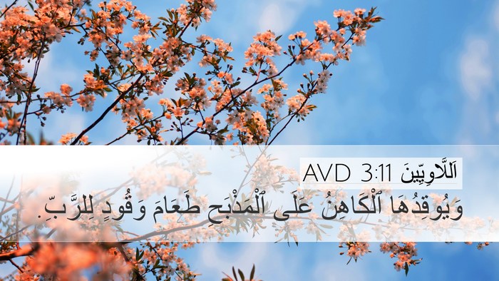 اَللَّاوِيِّينَ 3:11 AVD Bible Verse Image