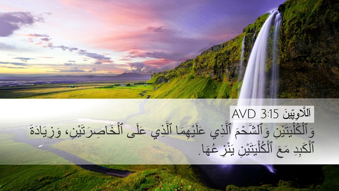 اَللَّاوِيِّينَ 3:15 AVD Desktop Wallpaper - وَٱلْكُلْيَتَيْنِ - Desktop Bible Verse Wallpaper