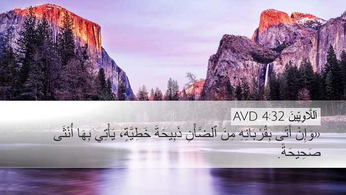 اَللَّاوِيِّينَ 4:32 AVD Desktop Wallpaper - «وَإِنْ أَتَى - Desktop Bible Verse Wallpaper
