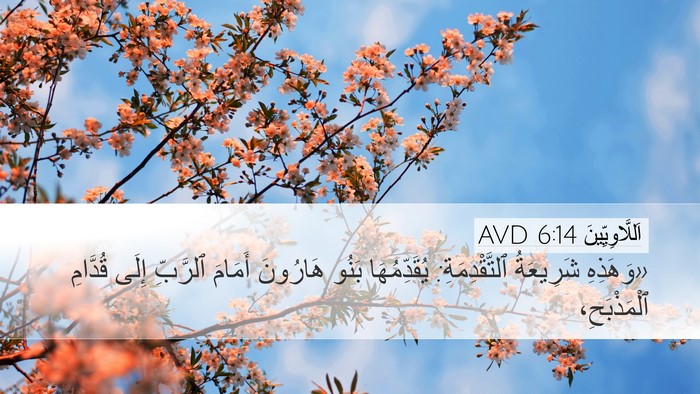 اَللَّاوِيِّينَ 6:14 AVD Bible Verse Image