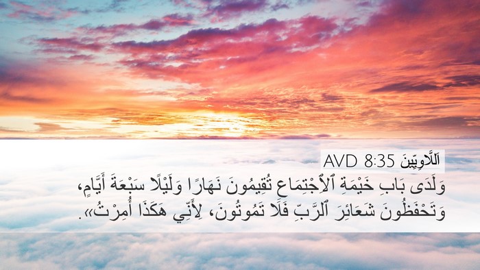اَللَّاوِيِّينَ 8:35 AVD Desktop Wallpaper - وَلَدَى بَابِ خَيْمَةِ - Desktop Bible Verse Wallpaper