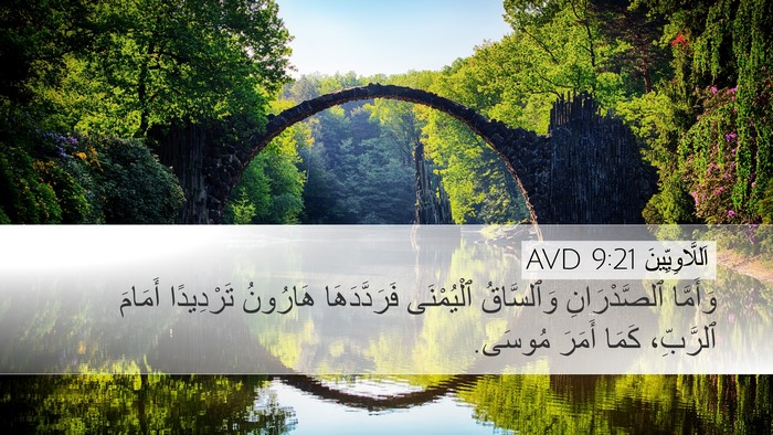 اَللَّاوِيِّينَ 9:21 AVD Bible Verse Image
