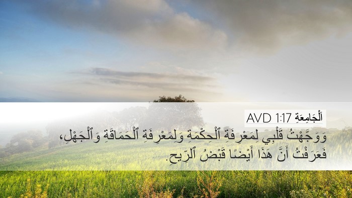 اَلْجَامِعَةِ 1:17 AVD Bible Verse Image