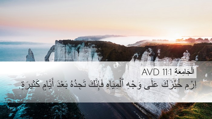 اَلْجَامِعَةِ 11:1 AVD Bible Verse Image