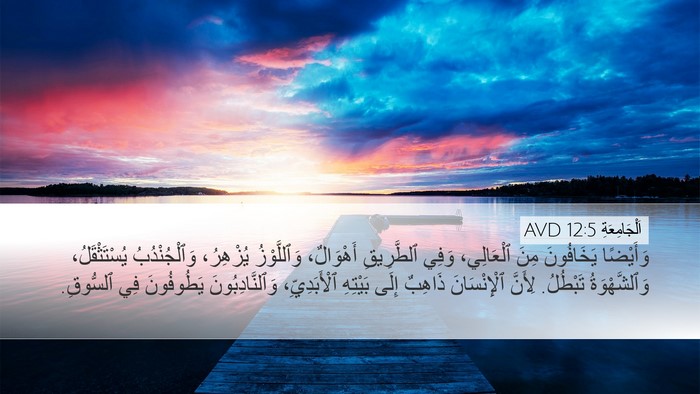 اَلْجَامِعَةِ 12:5 AVD Bible Verse Image