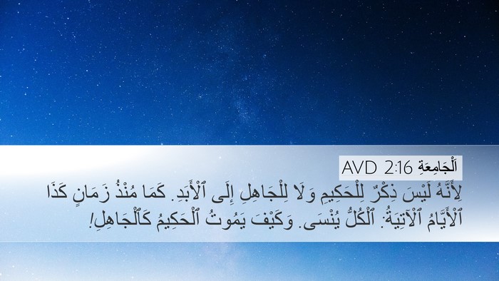 اَلْجَامِعَةِ 2:16 AVD Bible Verse Image