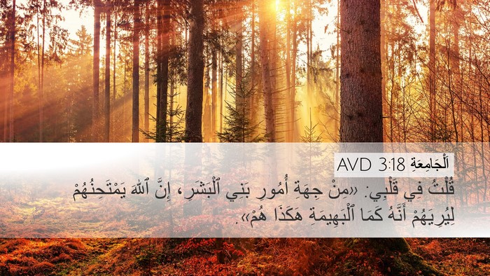 اَلْجَامِعَةِ 3:18 AVD Desktop Wallpaper - قُلْتُ فِي قَلْبِي: «مِنْ - Desktop Bible Verse Wallpaper