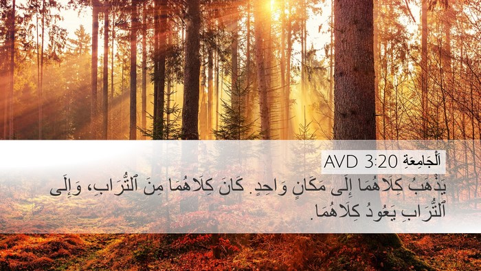اَلْجَامِعَةِ 3:20 AVD Desktop Wallpaper - يَذْهَبُ كِلَاهُمَا إِلَى - Desktop Bible Verse Wallpaper