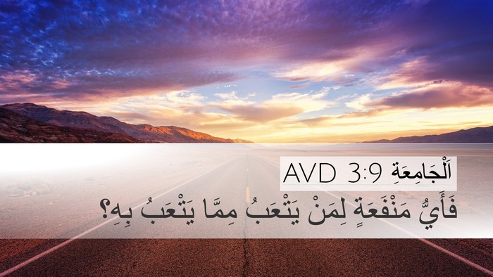 اَلْجَامِعَةِ 3:9 AVD Desktop Wallpaper - فَأَيُّ مَنْفَعَةٍ لِمَنْ - Desktop Bible Verse Wallpaper