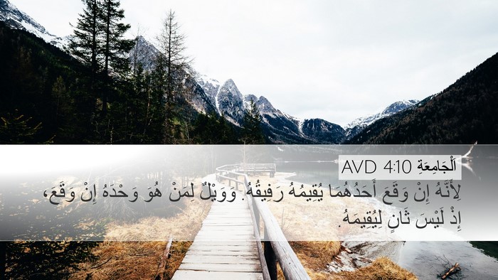 اَلْجَامِعَةِ 4:10 AVD Bible Verse Image