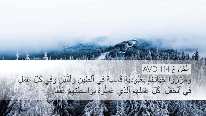 اَلْخُرُوجُ 1:14 AVD Bible Verse Image