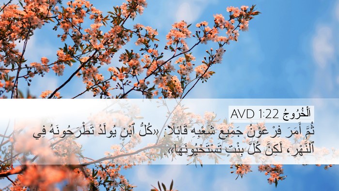 اَلْخُرُوجُ 1:22 AVD Bible Verse Image