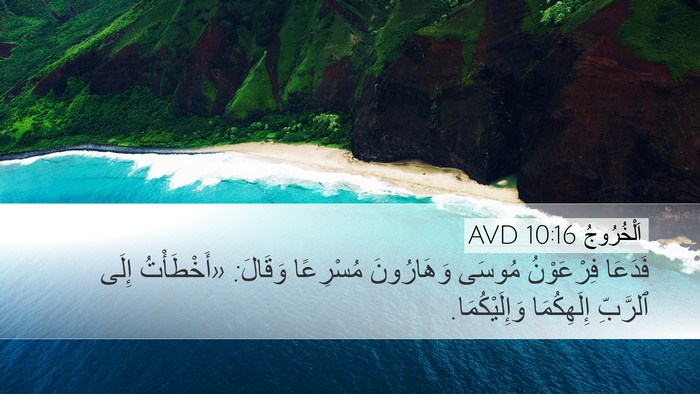 اَلْخُرُوجُ 10:16 AVD Bible Verse Image