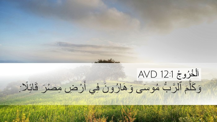 اَلْخُرُوجُ 12:1 AVD Desktop Wallpaper - وَكَلَّمَ ٱلرَّبُّ مُوسَى - Desktop Bible Verse Wallpaper
