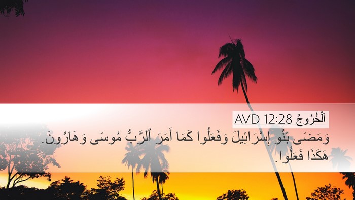 اَلْخُرُوجُ 12:28 AVD Bible Verse Image