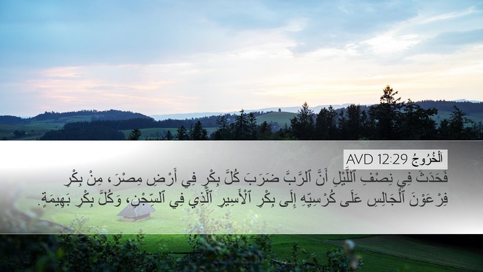 اَلْخُرُوجُ 12:29 AVD Bible Verse Image