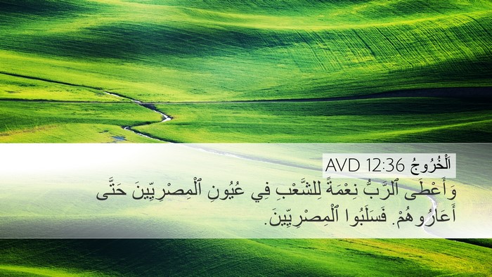 اَلْخُرُوجُ 12:36 AVD Bible Verse Image