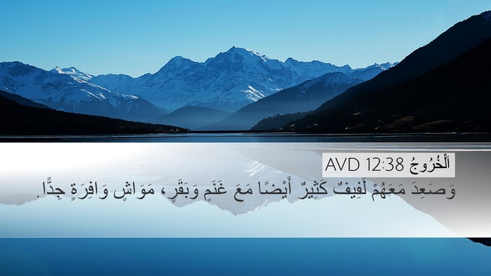 اَلْخُرُوجُ 12:38 AVD Bible Verse Image