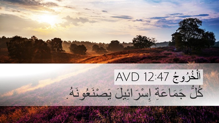 اَلْخُرُوجُ 12:47 AVD Desktop Wallpaper - كُلُّ جَمَاعَةِ - Desktop Bible Verse Wallpaper