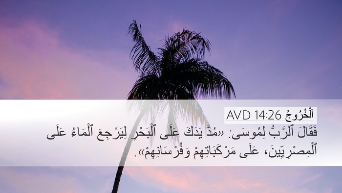 اَلْخُرُوجُ 14:26 AVD Bible Verse Image