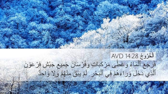 اَلْخُرُوجُ 14:28 AVD Bible Verse Image
