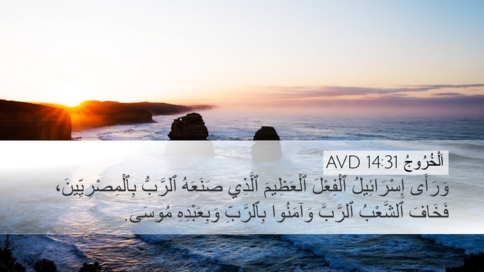 اَلْخُرُوجُ 14:31 AVD Bible Verse Image