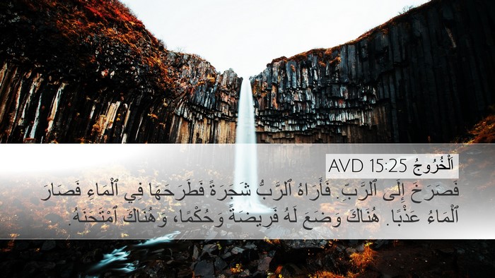 اَلْخُرُوجُ 15:25 AVD Bible Verse Image