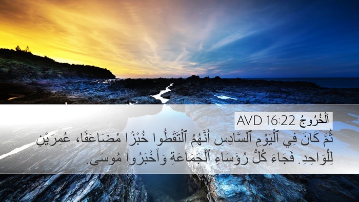 اَلْخُرُوجُ 16:22 AVD Bible Verse Image