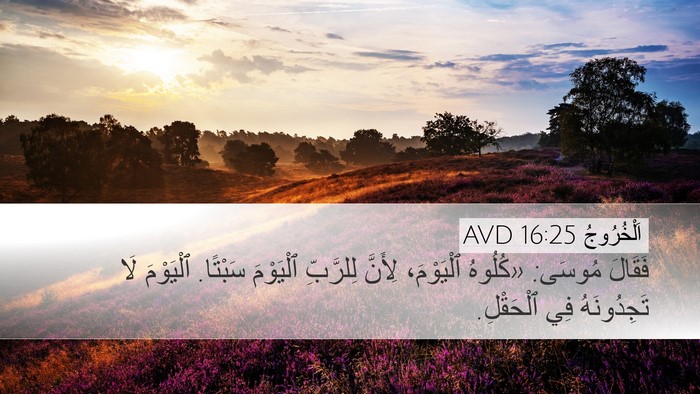 اَلْخُرُوجُ 16:25 AVD Desktop Wallpaper - فَقَالَ مُوسَى: «كُلُوهُ - Desktop Bible Verse Wallpaper