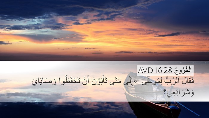 اَلْخُرُوجُ 16:28 AVD Bible Verse Image