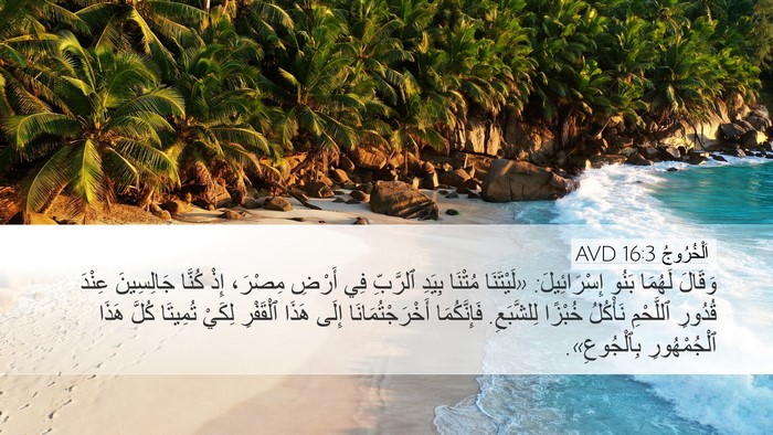 اَلْخُرُوجُ 16:3 AVD Bible Verse Image