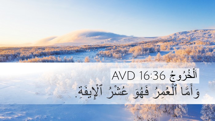 اَلْخُرُوجُ 16:36 AVD Bible Verse Image