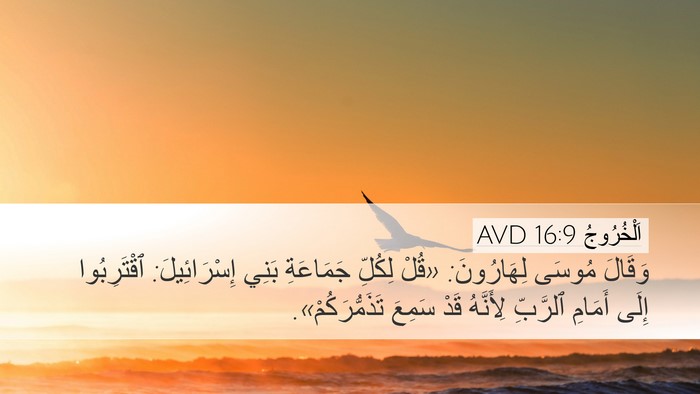 اَلْخُرُوجُ 16:9 AVD Desktop Wallpaper - وَقَالَ مُوسَى لِهَارُونَ: - Desktop Bible Verse Wallpaper