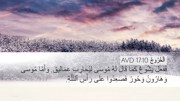 اَلْخُرُوجُ 17:10 AVD Bible Verse Image