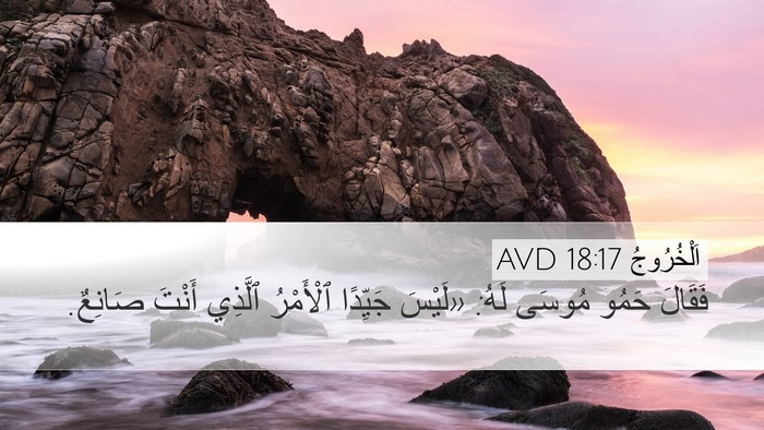 اَلْخُرُوجُ 18:17 AVD Desktop Wallpaper - فَقَالَ حَمُو مُوسَى لَهُ: - Desktop Bible Verse Wallpaper