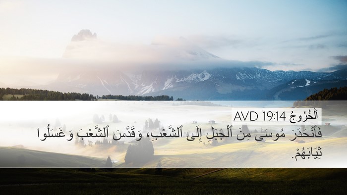 اَلْخُرُوجُ 19:14 AVD Bible Verse Image