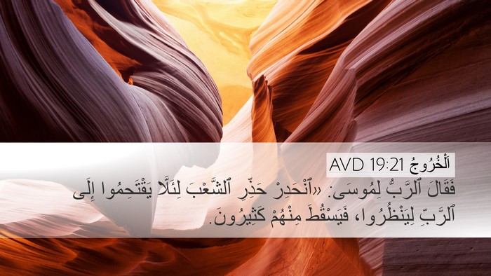 اَلْخُرُوجُ 19:21 AVD Bible Verse Image